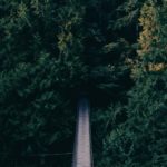 Reminder: Trash Disposal Rules