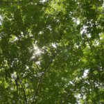 More (Important) Winter Reminders