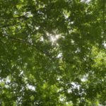 August 2021 Announcements