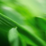 April 2022 Announcements